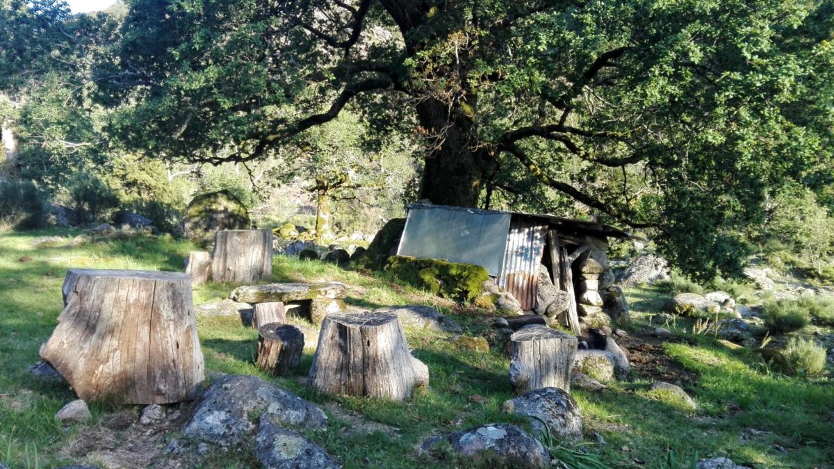 4ª sessão – A bom mato vens fazer lenha