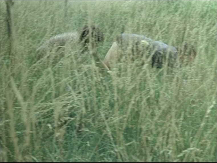 5ª sessão- colectiva